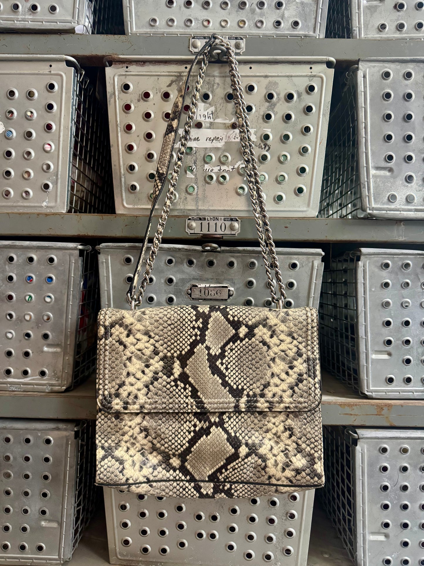 Snake skin purse